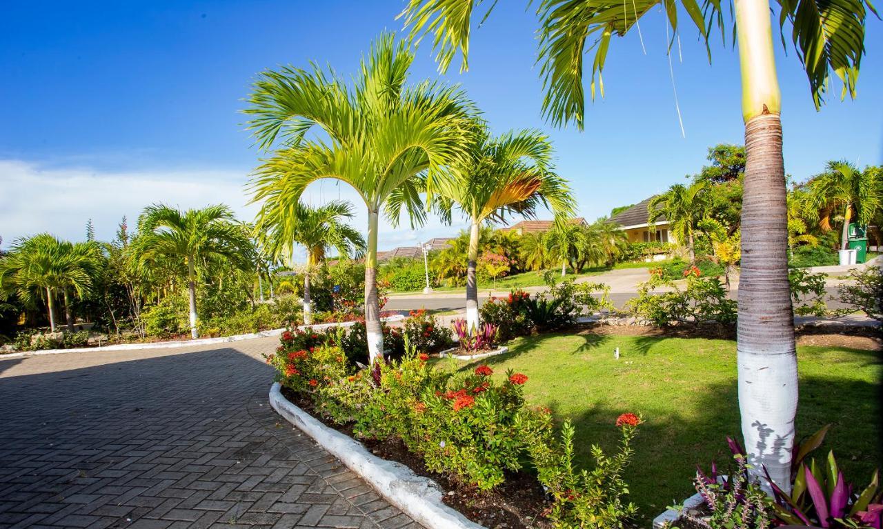 Nature'S Choice Home Richmond Palms, Jamaica Extérieur photo