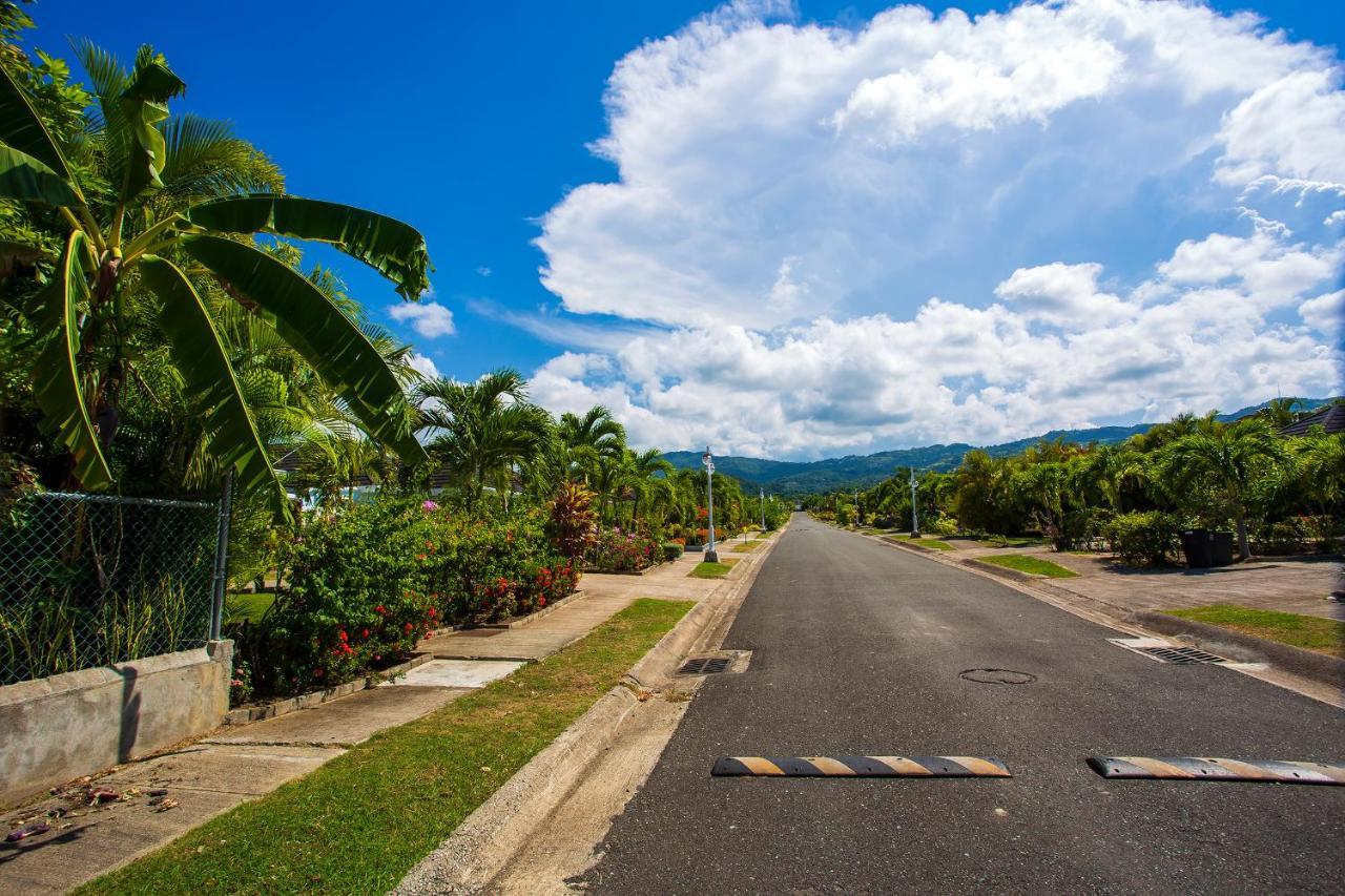 Nature'S Choice Home Richmond Palms, Jamaica Extérieur photo