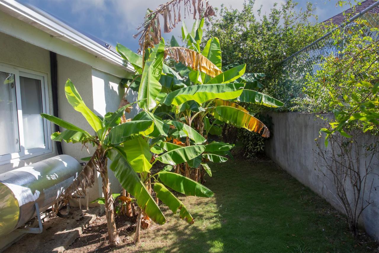 Nature'S Choice Home Richmond Palms, Jamaica Extérieur photo